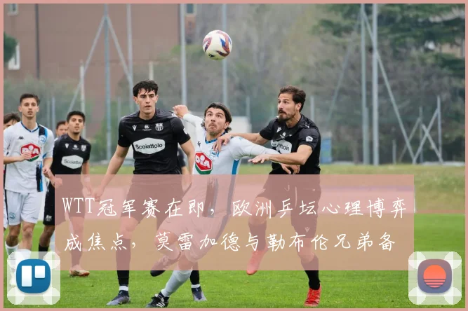WTT冠军赛在即，欧洲乒坛心理博弈成焦点，莫雷加德与勒布伦兄弟备受关注