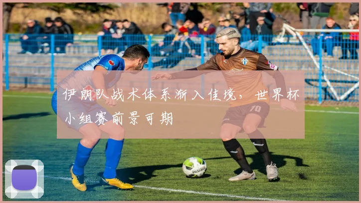 伊朗队战术体系渐入佳境，世界杯小组赛前景可期
