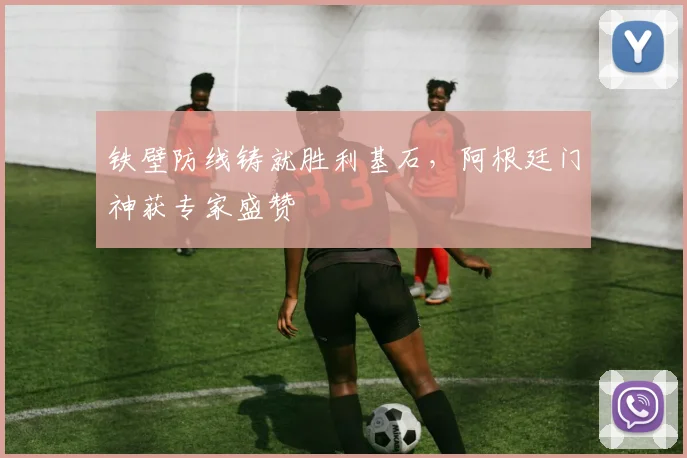 铁壁防线铸就胜利基石，阿根廷门神获专家盛赞
