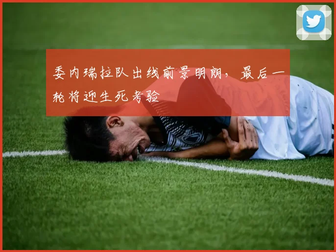 委内瑞拉队出线前景明朗，最后一轮将迎生死考验