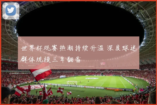 世界杯观赛热潮持续升温 深度球迷群体规模三年翻番